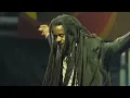 HALF PINT - BEST OF HALF PINT - JUSTICE SOUND