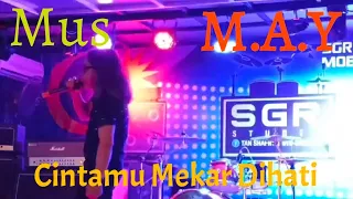 Download MUS - M.A.Y‼️Cintamu Mekar Dihati ( Live ) MP3