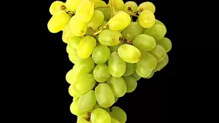 العنب عماد بعرور دندنها