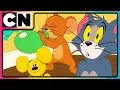 Download Lagu Tom \u0026 Jerry🐭😺| Tom’s Balloon Bully Battle!😍| Cat and The Mouse | Cartoon for Kids | @cnindia