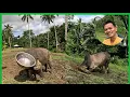 Download Lagu ANG ASTIG NA NI BITAS AT PALO..LALO NA PAG NASA LABAS NAGPAPAKITANG GILAS..