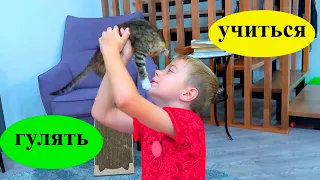 24 ЧАСА КОТ УПРАВЛЯЕТ ФЁДОРоМ