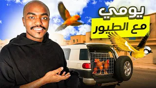 بعت الدجاج وجهزت الببغاوات للانتاج 