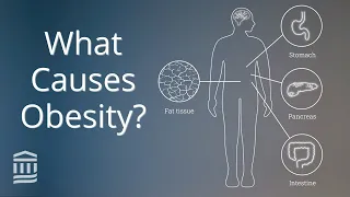 Download Obesity: Causes, Health Conditions, and Treatment | Mass General Brigham MP3