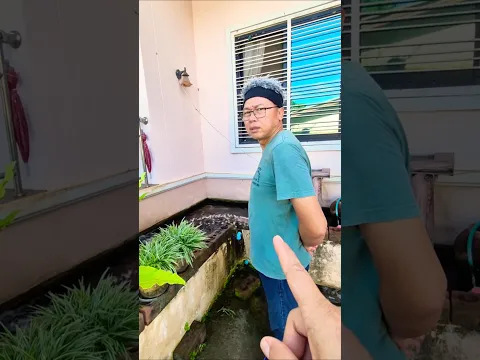 ห้ามฉี่ตรงนี้นะพ่อ #ตลก #ฮาๆ #ขำๆ #สนุกสนาน #สนุก #คลิปตลก #คลายเครียด