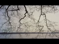 Milo Greene | Autumn Tree