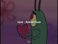 cuco - forevermore