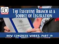 The Executive Branch as a Source of Legislation How Congress Works Part 19
