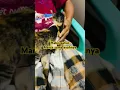 Lagu Habis sahur kucing minta disayang#kalbar #kucing #shortvideo #shorts
