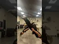 Download Lagu Bungee cardio is low impact on your joints, high impact on your results #bungeefitness #health