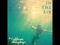 In The Air - The California Honeydrops