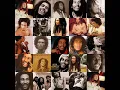 Everybody loves Bob Marley - Macka B
