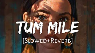 tum mile slowed reverb javed ali