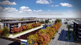 The future of Lightsview