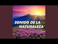 Download Lagu Sonido de la Naturaleza