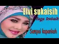 Download Lagu Elvy sukaisih sampai kapankah