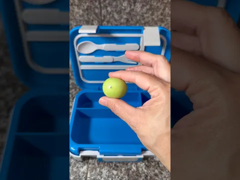 mom packs ONLY CANDY for SCHOOL LUNCH