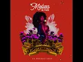 Download Lagu DJ Flex - Meliza [Official Audio]