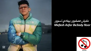 مفيش عصفوور بيعادي نسوور بدون موسيقي                                        دندنها