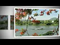 Download Lagu Hoa Học Trò - Anh Bằng - Thơ Nhất Tuấn - Duy Quang \u0026 Ngọc Lan