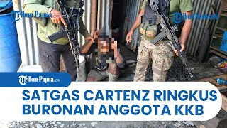 Detik-Detik Satgas Damai Cartenz Ringkus Buronan Anggota KKB di Puncak Jaya