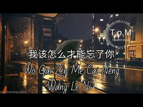 Download MP3 Wo Gai Zen Me Cai Neng Wang Le Ni 我该怎么才能忘了你 Lyrics Pinyin - Yao Qian 姚倩 ( MANDARIN SONG )