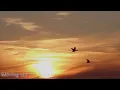 A Place In the Sun - Stevie Wonder (with lyrics)