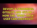 DevOps SysAdmins Gitolite and Gitlab - How the www-data user can checkout 2 Solutions