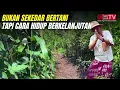 Belajar Permaculture di Bumi Langit: Menyatu dengan Alam, Menjaga Kehidupan