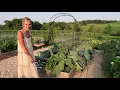 My Backyard Garden Tour!