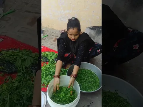 saag recipe.. sarso saag