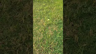 Don T Quit Inspiration Message Motivation 