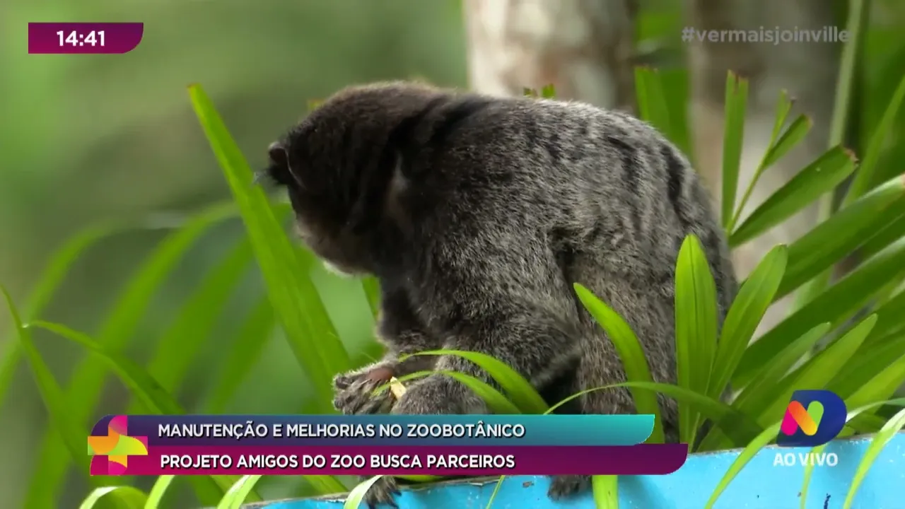 Manutenção e melhorias no zoobotânico: projeto "Amigos do Zoo" busca parceiros