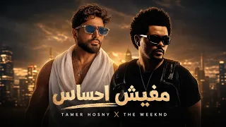                          مفيش احساس دندنها