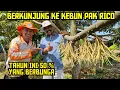 Download Lagu 🟠🟠 KUNJUNGAN KE KEBUN PAK RICO 🌳🌳 POHON YG BUNGA MUSIM INI 50 % DARI JUMLAH POHON🤲‼️