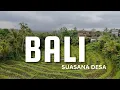 Download Lagu Rindik Bali di Tengah Sawah yang Menenangkan Jiwa