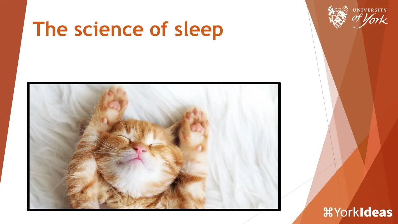 The science of sleep - Marcus Harrington