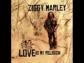 Ziggy Marley - Beach in Hawaii