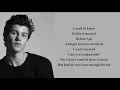 Download Lagu Shawn Mendes - Mutual (lyrics)