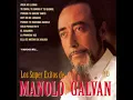 Te Quise, Te Quiero Y Te Querré - Manolo Galvan