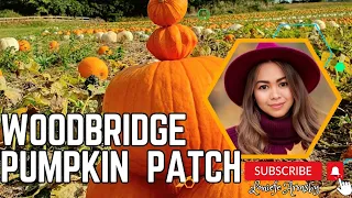 Woodbridge pumpkin patch pumpkin patch pumpkin farm Local farm Suffolk
