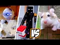 The MOST EPIC BATTLES - MAJOR HAMSTER vs EVIL MONSTERS