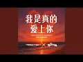 Download Lagu Wo Shi Zhen De Ai Shang Ni