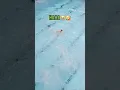 Download Lagu rank my death dive skills..😎😅😭🤣 #fail