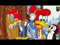 Lagu Woody is Locked out in the in Cold 🥶 | Woody Woodpecker