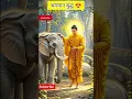 Download Lagu 😍Buddha walking Ai Video 2 #babasaheb #jaybhim #bhimarmy #bhimshakti #buddha #lordbuddha #bhim