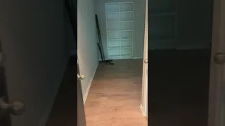 B2 - 2 bedroom 2 bath