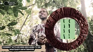 osa eleye