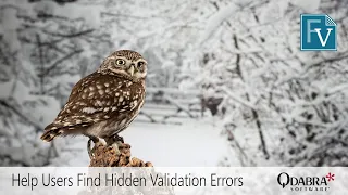 Help Users Find Hidden Validation Errors Qdabra Webinar 2021-01-21