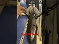 Target bike review